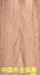 �ľ���y��Ԕ��(x��)��B