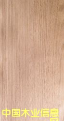 �ľֱ�y��Ԕ��(x��)��B