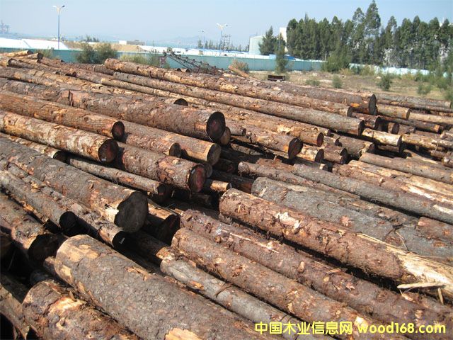 ������ԭľ��Ԕ��(x��)��B