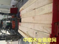 ����ľ��Ԕ����B