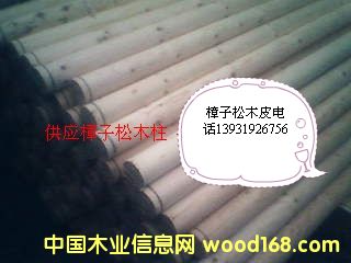 ����ľ����Ԕ��(x��)��B