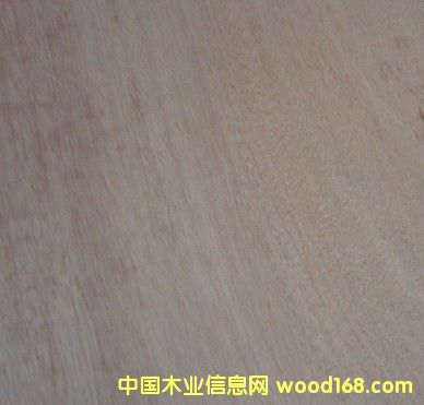 ��ľ�����Ԕ����B