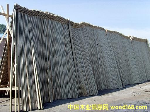 ����ľ��Ԕ����B