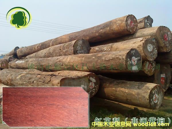 ���޼t����ľ��Ԕ��(x��)��B