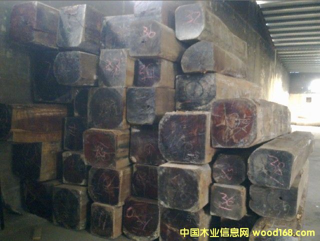 ����ľԭľ��Ԕ��(x��)��B