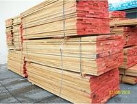 �W�ޙ�ľ��Ԕ��(x��)��B