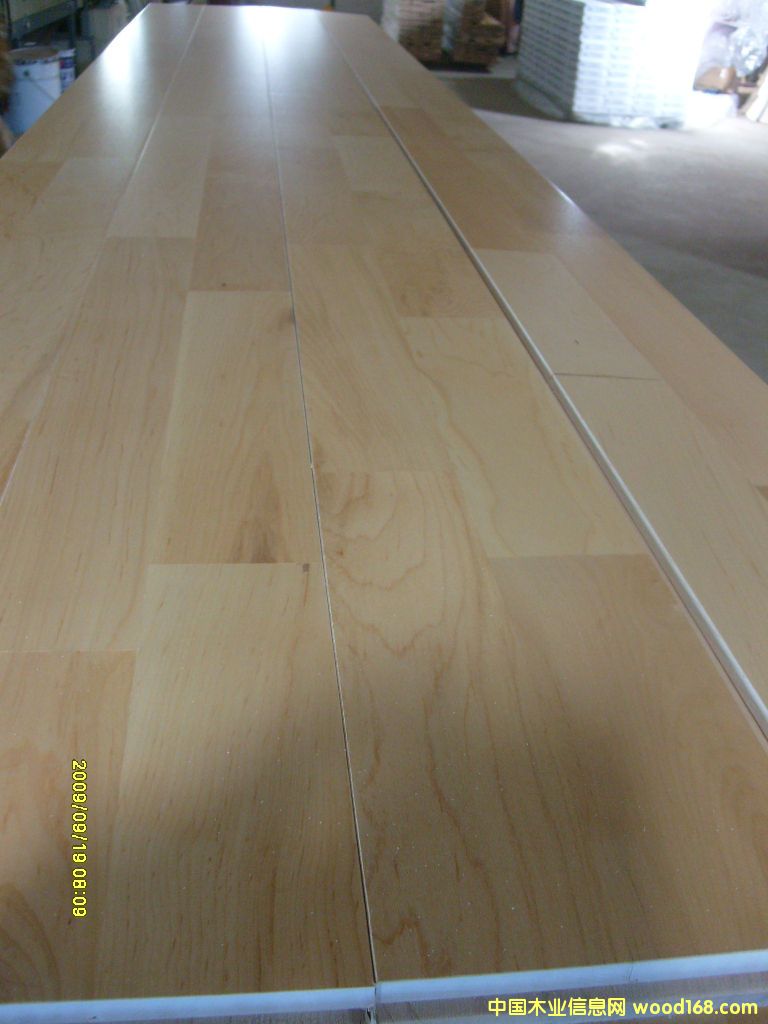 ɫľ����ľ)��Ԕ��(x��)��B