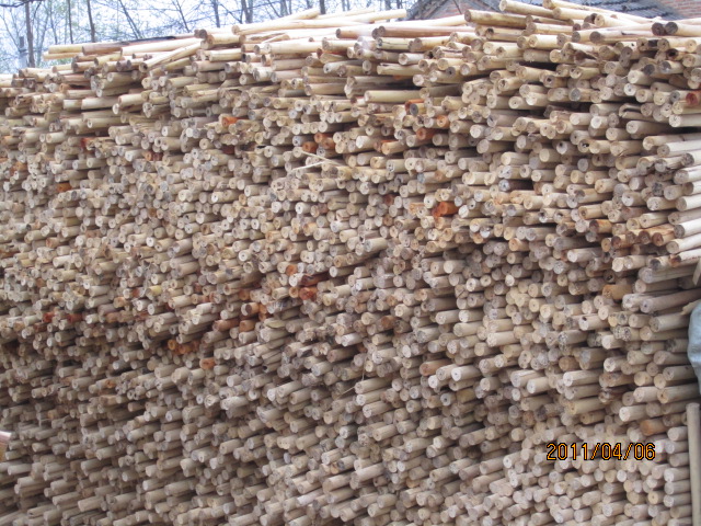 ��ľ��о��Ԕ����B