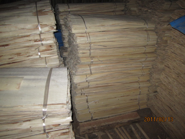 ��ľ�ΰ��Ԕ����B