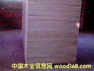 ����ģ���Ԕ��(x��)��B