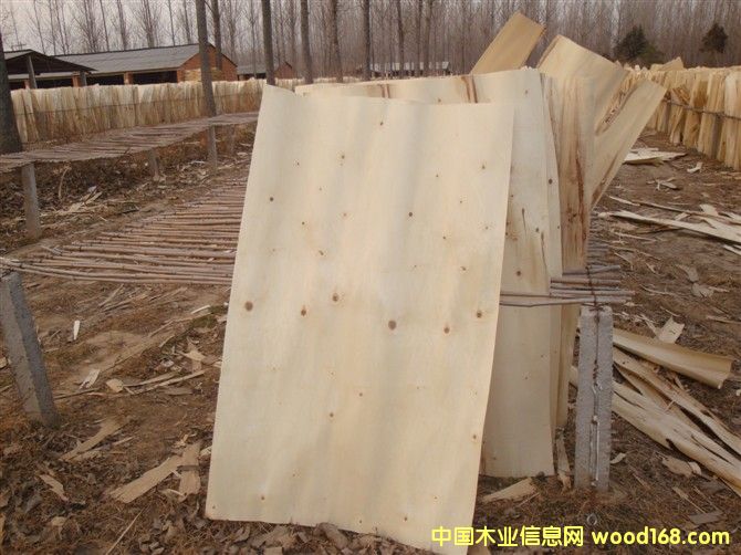 ���а�Ƥ��Ԕ��(x��)��B