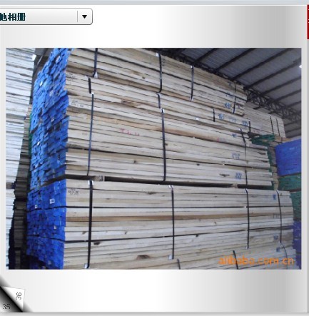 Yellow Poplar(�S�����ח�Z�������ľ����Ԕ��(x��)��B