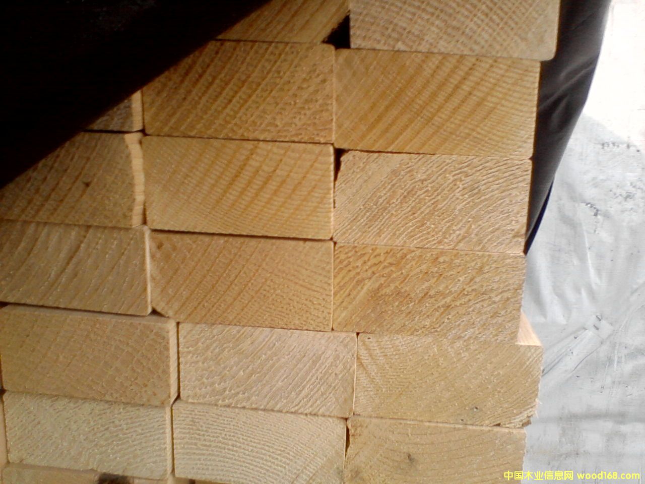 �Fɼ����ľ����Ԕ��(x��)��B