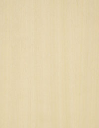 ����˹��ח�ľо