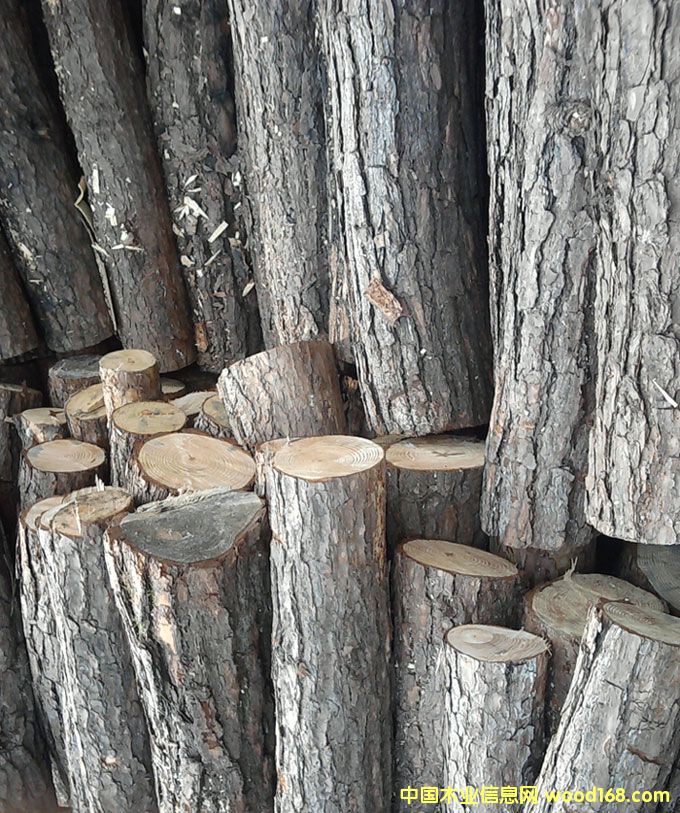 ��ľ��Ԕ��(x��)��B