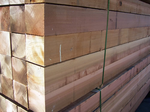 �tѩ�ɵ�Ԕ��(x��)��B