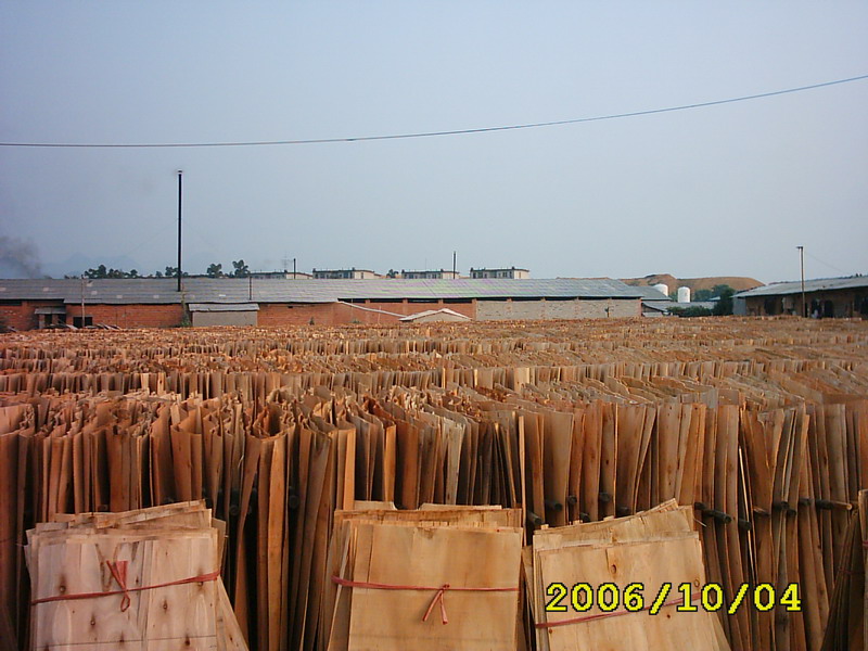  ��ľ�ΰ��Ԕ��(x��)��B