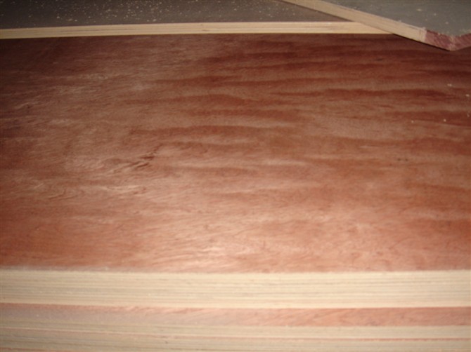 ���Ӱ� ����ģ���Ԕ����B