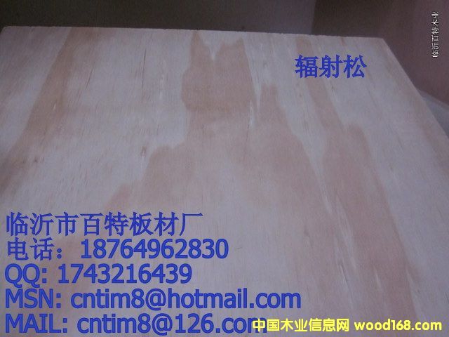 ݗ����2��Ԕ����B