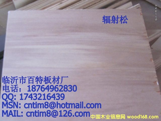 ݗ����1��Ԕ����B