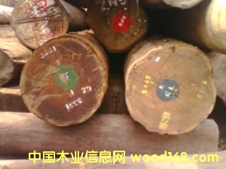 ��ɽ�ͻ���Ԕ��(x��)��B