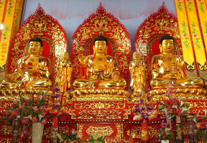 �������ɵ���