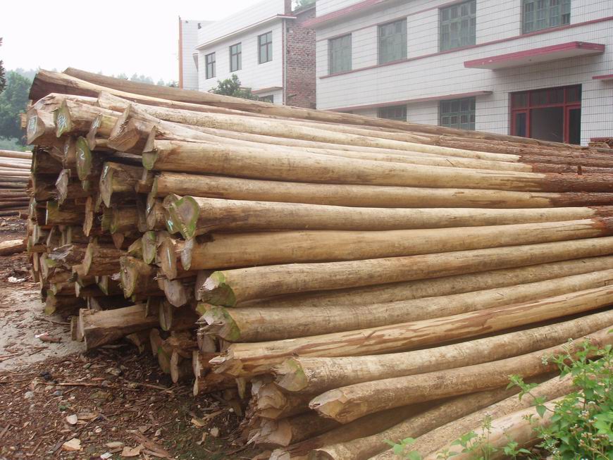 ɼľ��Ԕ��(x��)��B