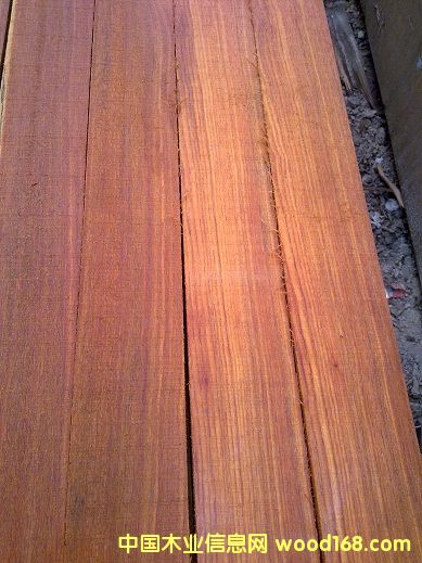 �𲻓Q��Ԕ��(x��)��B