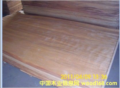 ��(y��u)�|(zh��)�z��ľ�ΰ��Ԕ����B