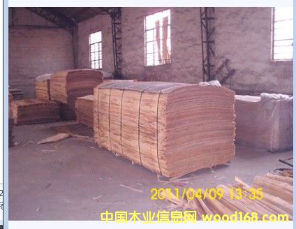 ��(y��u)�|(zh��)�z��ľ�ΰ��Ԕ����B