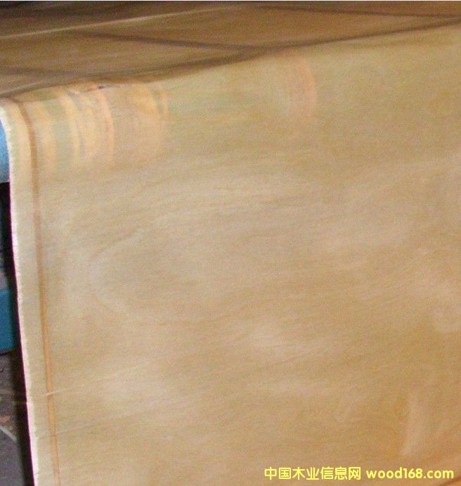 ��(y��u)�|(zh��)�z��ľ�ΰ��Ԕ����B