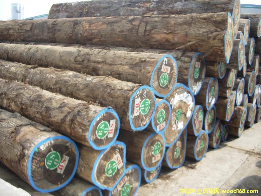 �t�����Ԕ��(x��)��B