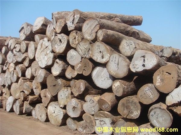 Ƥ�ҵ�Ԕ��(x��)��B