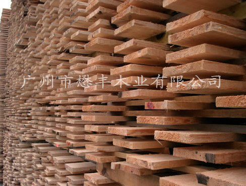 ���_˹�����ɺ�ɰ��