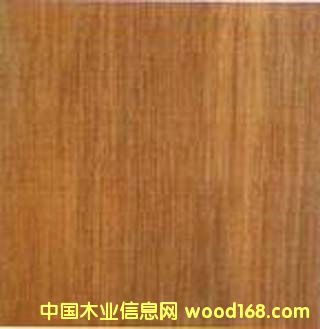 ����������ľ�����w���