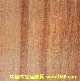 ���������ľ�����ӗ�ľ��