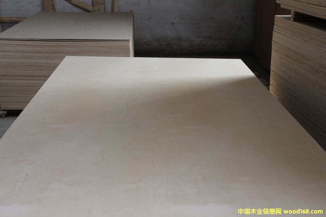 ȫ��ľ�z�ϰ��Ԕ��(x��)��B