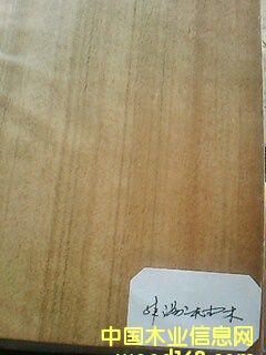 ������ľ��Ԕ��(x��)��B