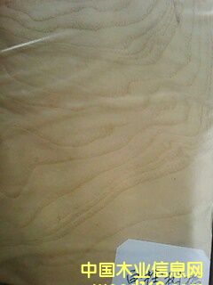 ��˨��(sh��)���Ԕ��(x��)��B