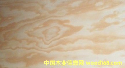 ������ľƤ��Ԕ��(x��)��B