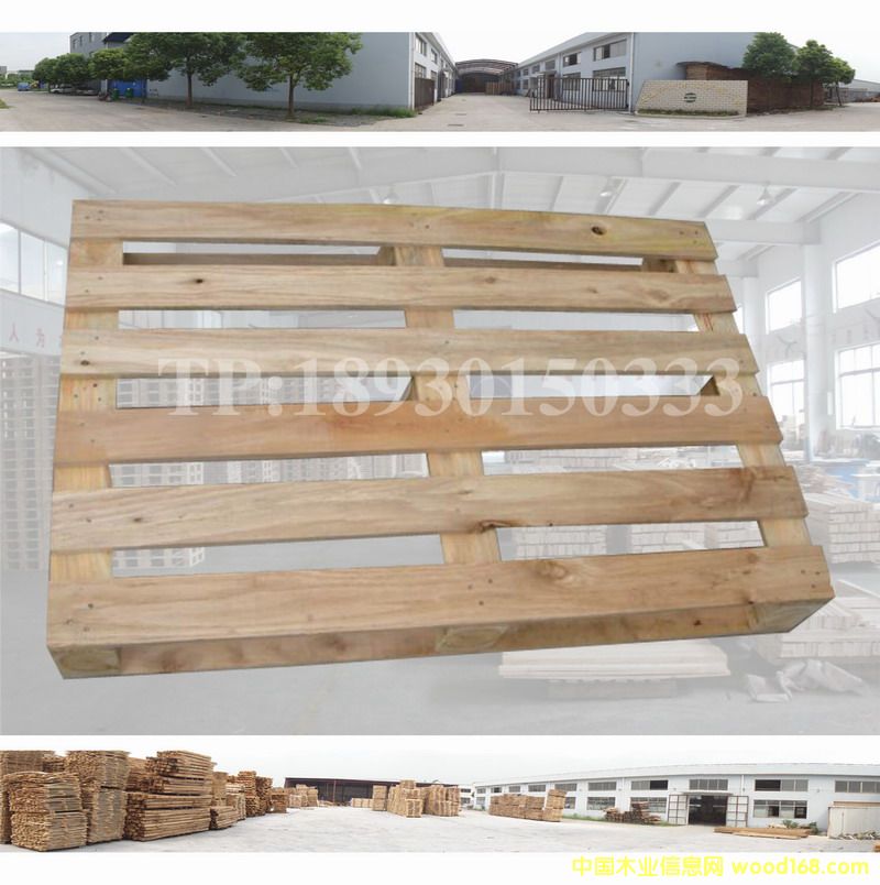 �����M(j��n)�l���бP��Ԕ��(x��)��B