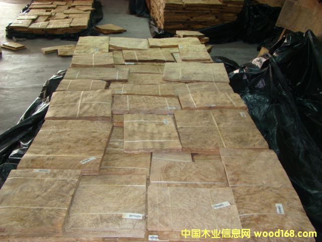 ɽ��������Ԕ����B