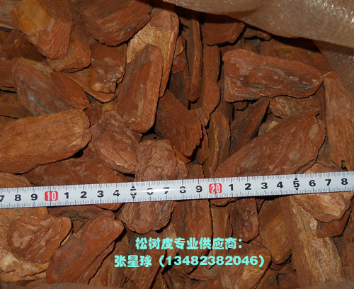 �ɘ�Ƥ���^�ر����w��ĥ��