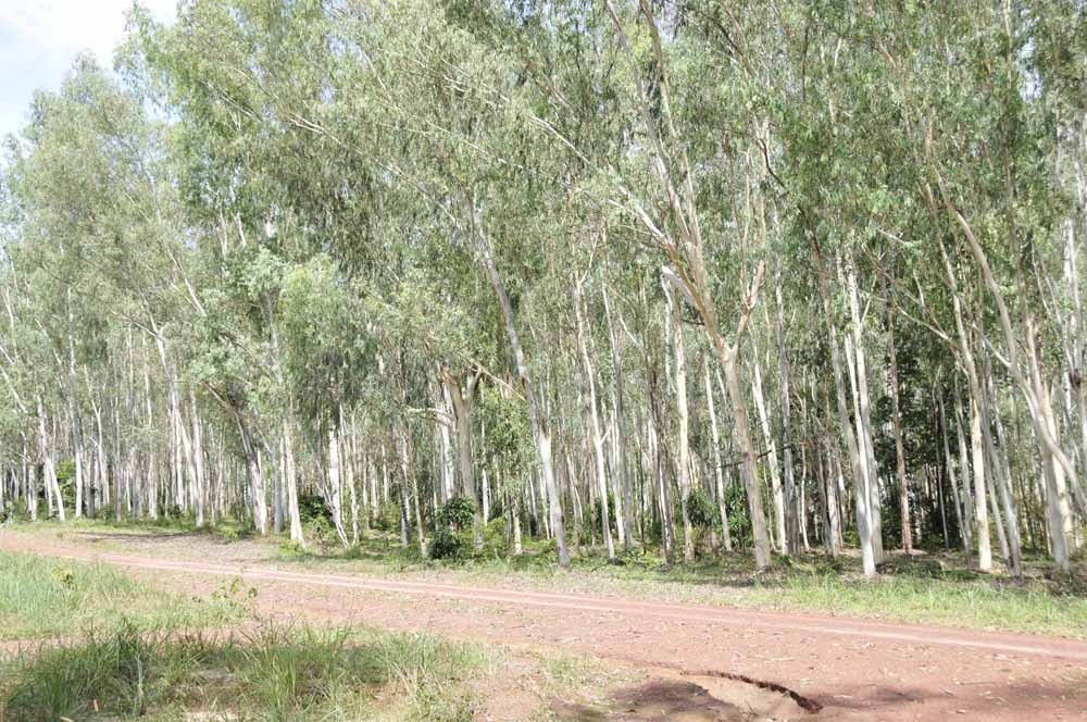 ̩����(y��u)�|(zh��)���ԭľ��Ԕ��(x��)��B