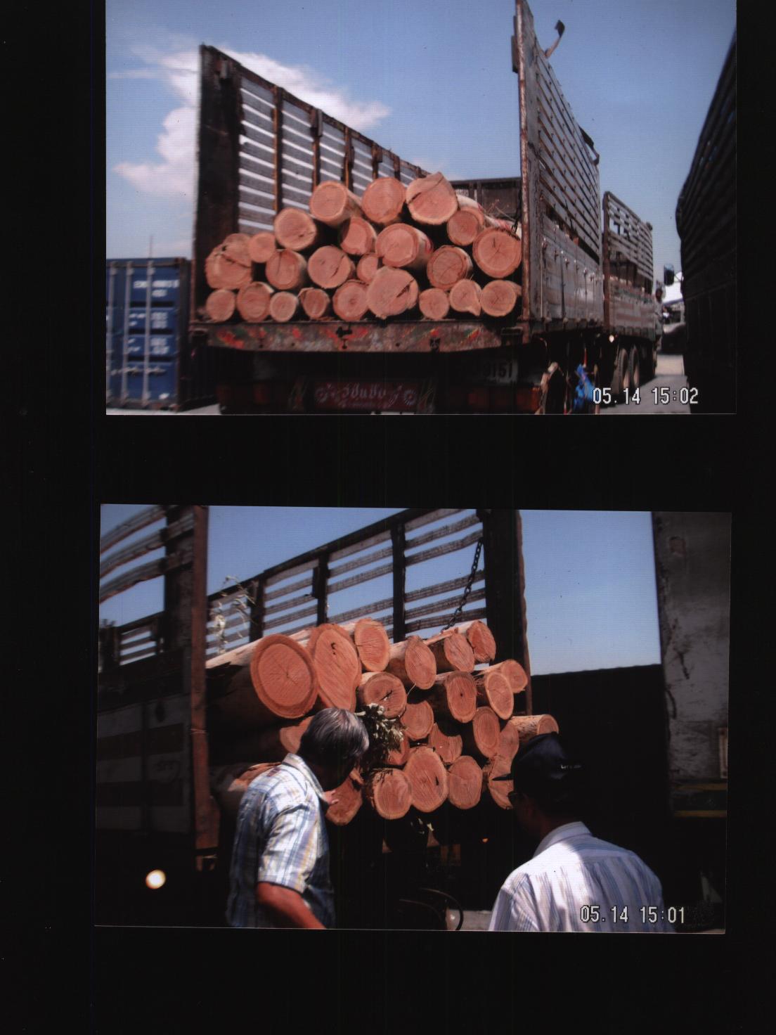 ̩����(y��u)�|(zh��)ԭľ����(y��ng)��Ԕ��(x��)��B