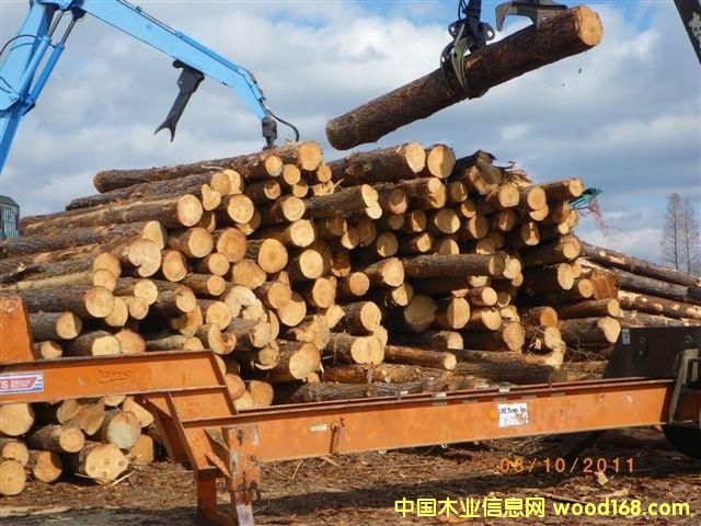 ����������ԭľ��Ԕ����B