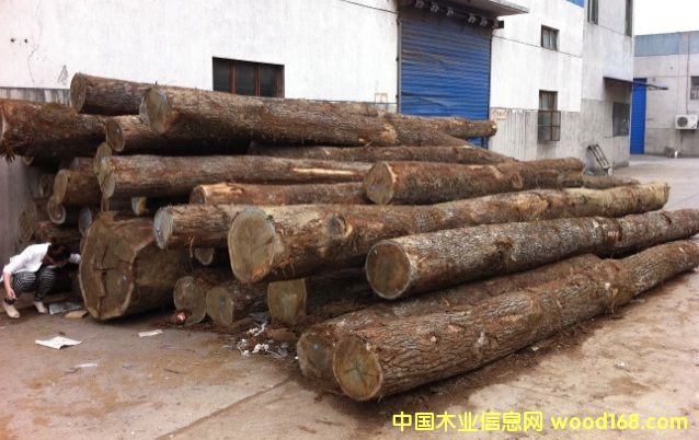 �|�W��ľ-C����Ԕ����B