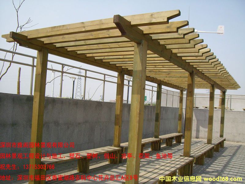 �o�ڵ�Ԕ����B