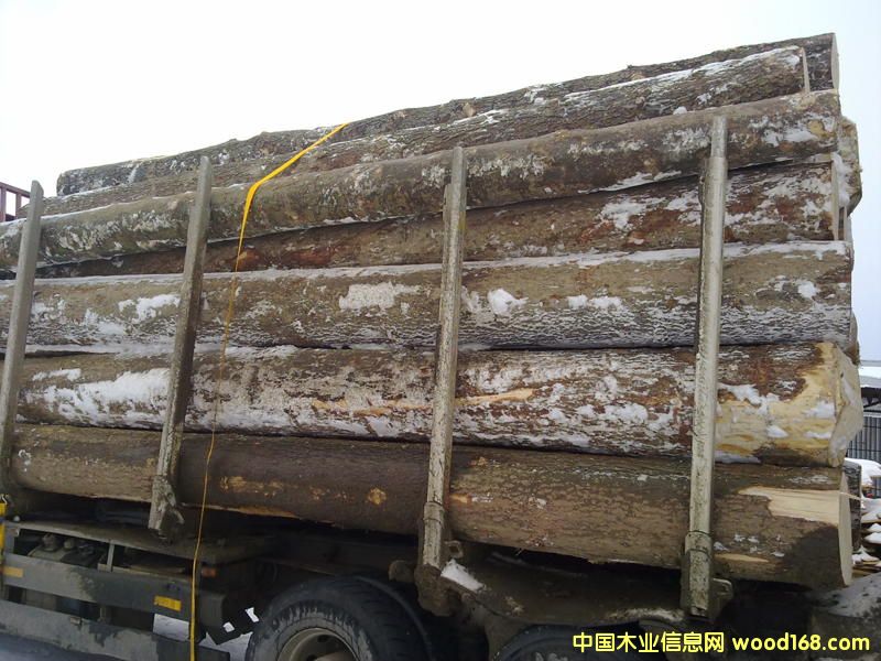 ���ɵ�Ԕ��(x��)��B