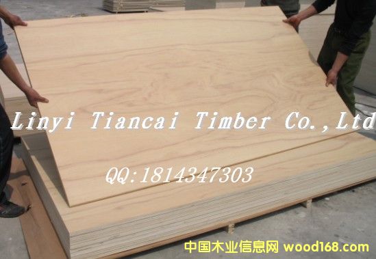 ɽ���z�ϰ�